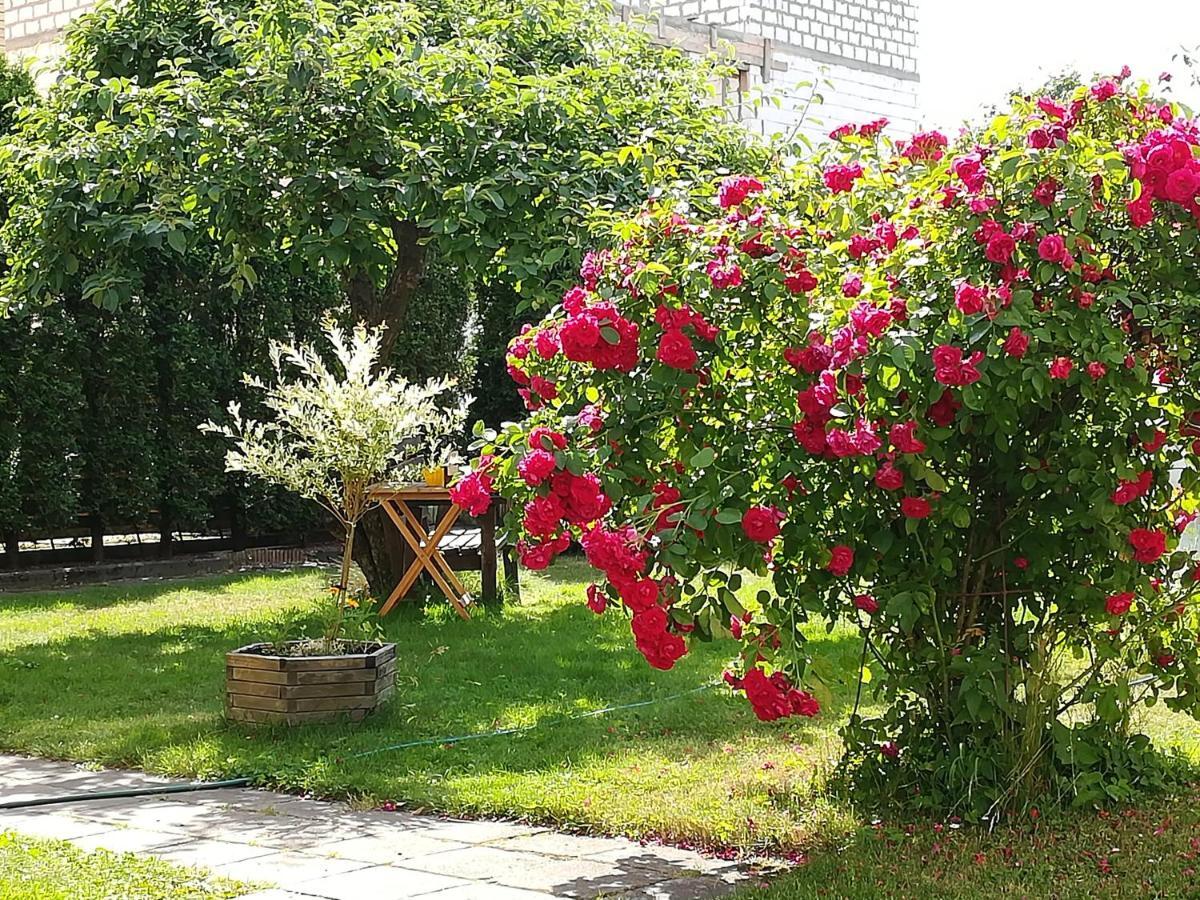 Poilsis Pas Virginija Apartment พาลังกา ภายนอก รูปภาพ